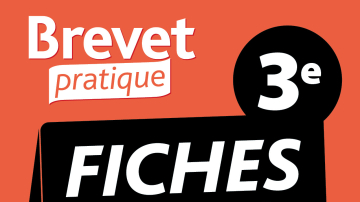 Brevet Pratique Fiches Français 3e Brevet 2024