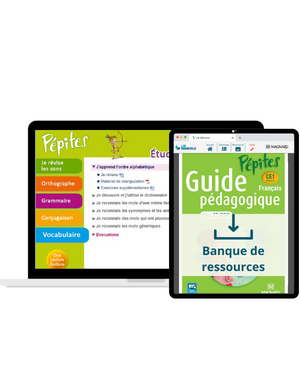Visuel banque de ressources Pépites Français CE1